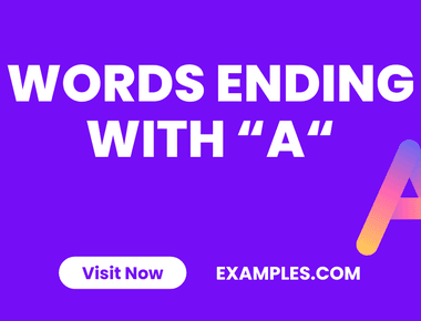 Words That End With ‘Tea’ - A Fun Linguistic Exploration