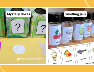 How to Use ‘Sensory’ in a Sentence - Engaging the Five Senses